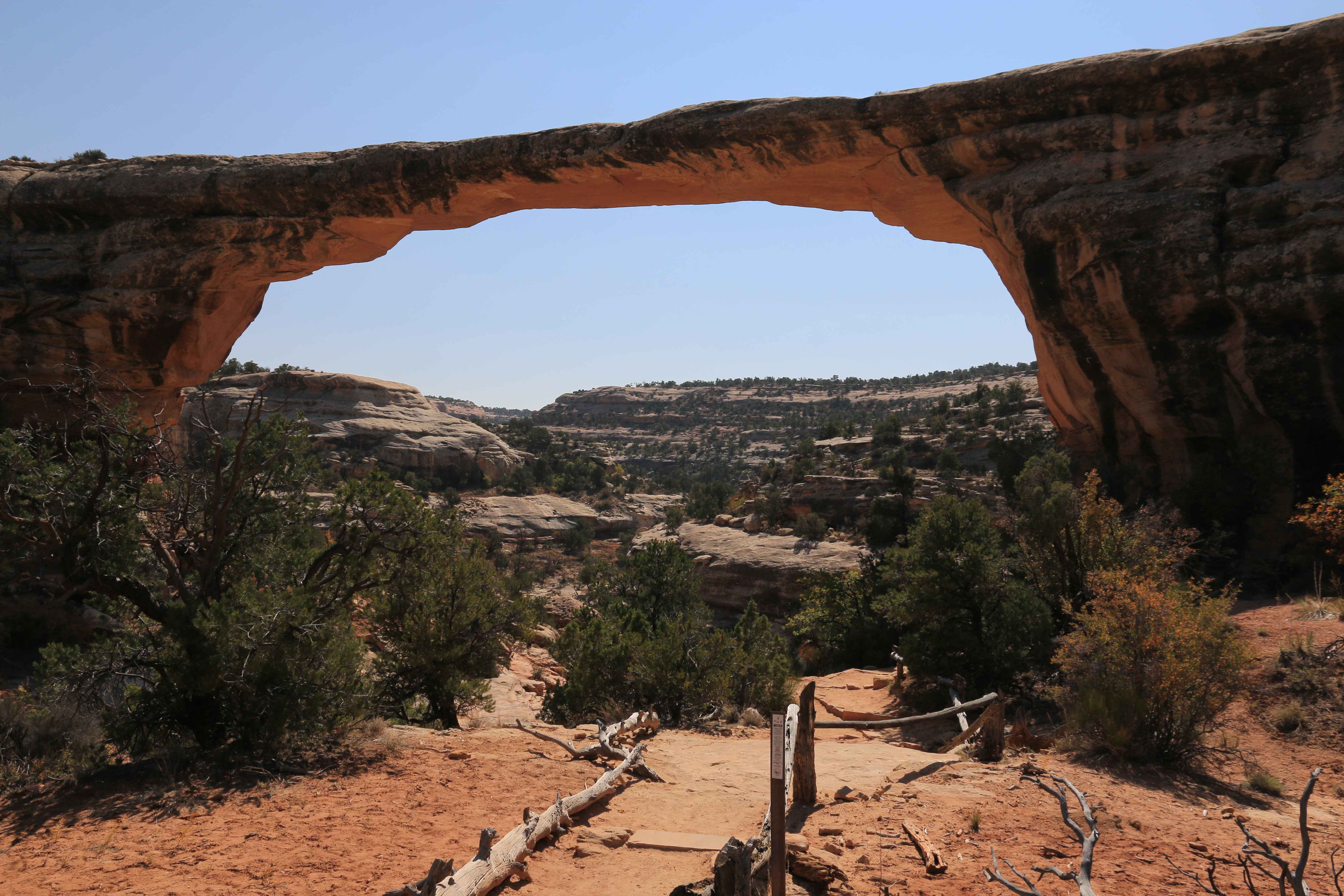 Natural Bridges NM